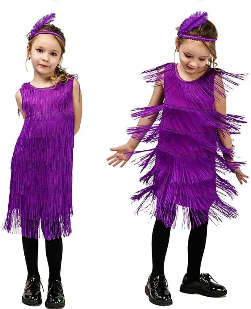20s Flapper Dresses for Girls Salsa Latin Dance Dress 1920s Gatsby Tassel Fringe Flapper Dress   Feather Headband Dancewear