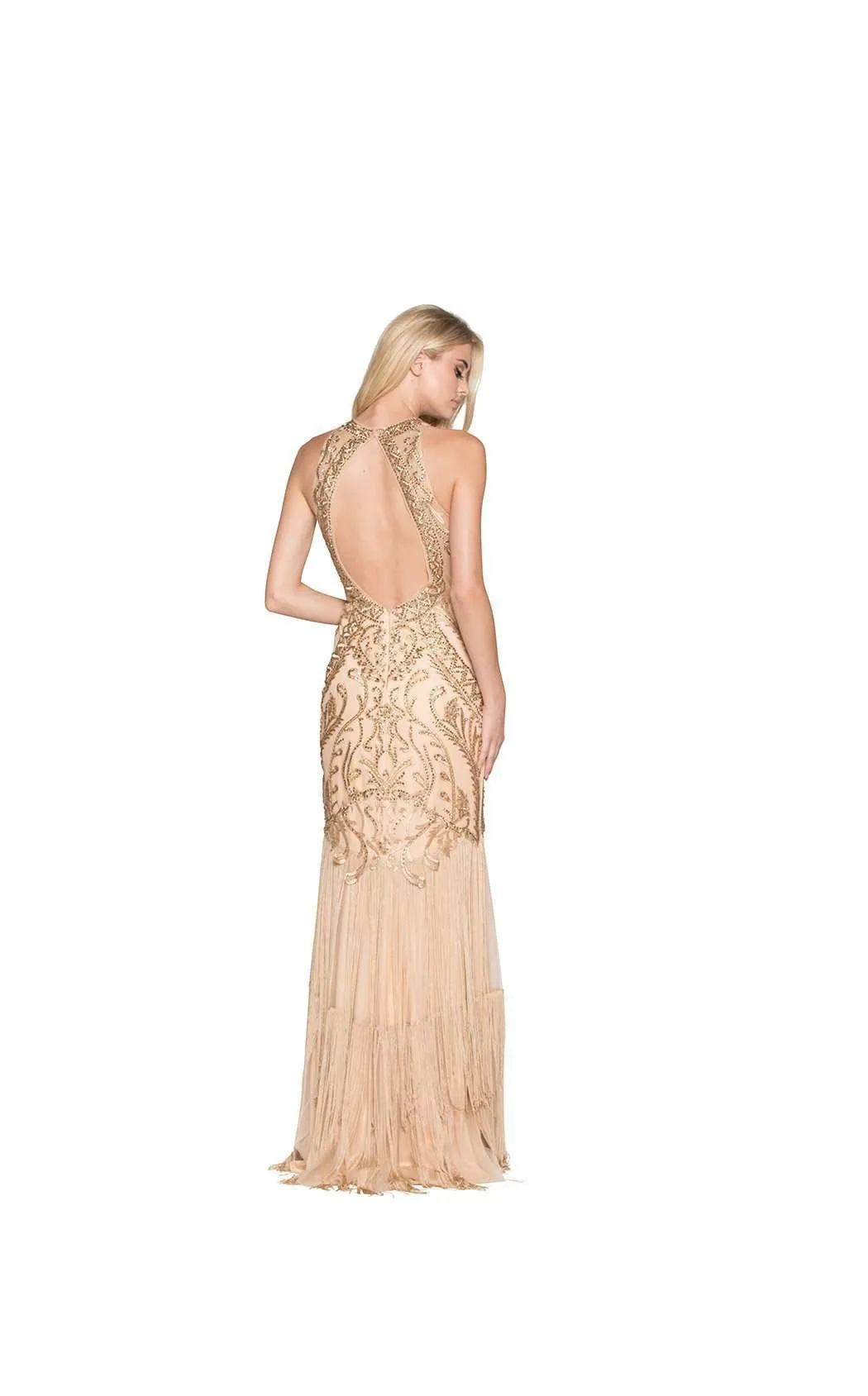 Colors Dress 1857 Dress