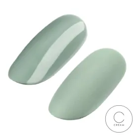 GEL POLISH #009